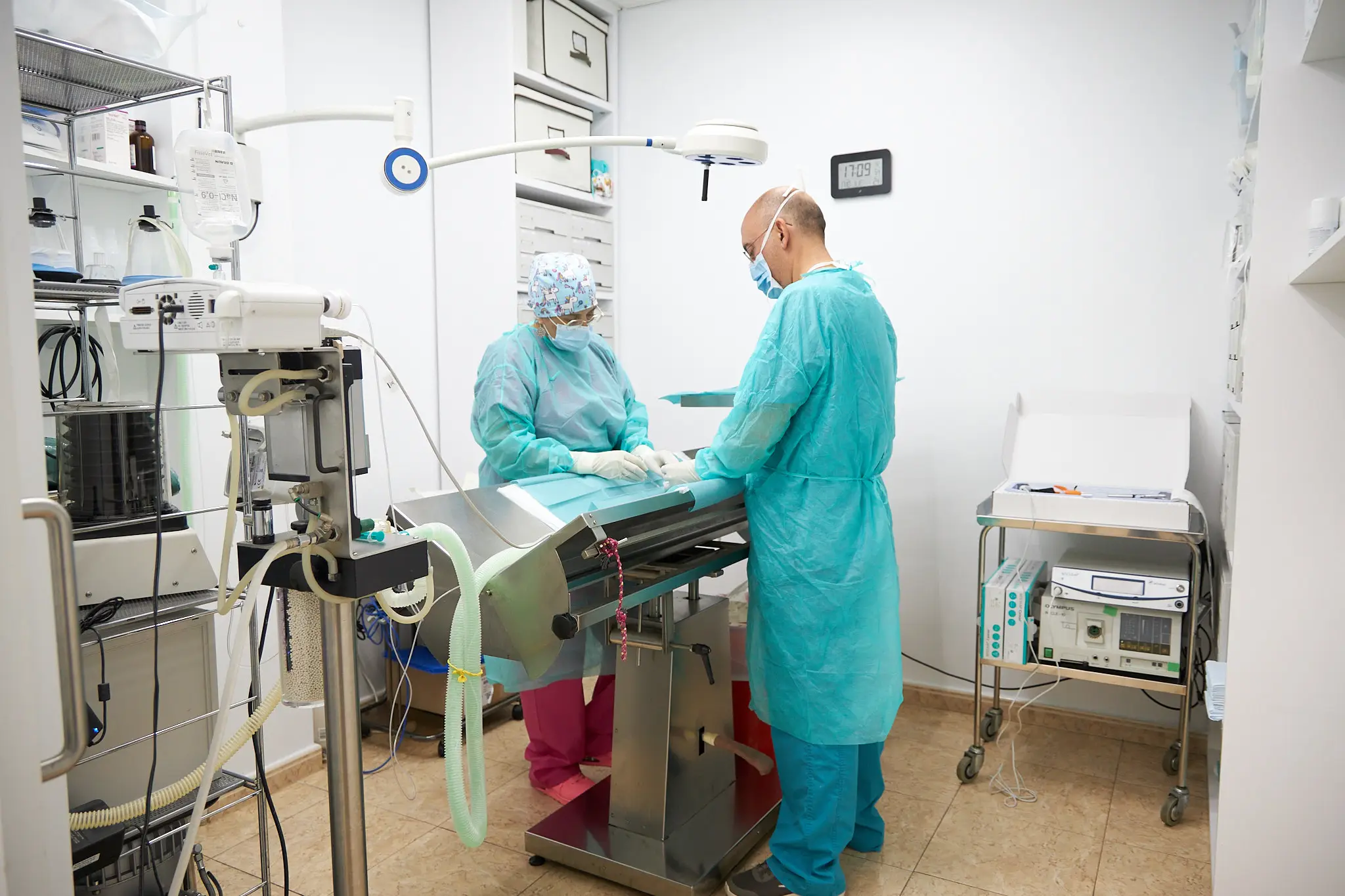 Cirurgia a Clínica Veterinaria Quatre Camins de Tortosa