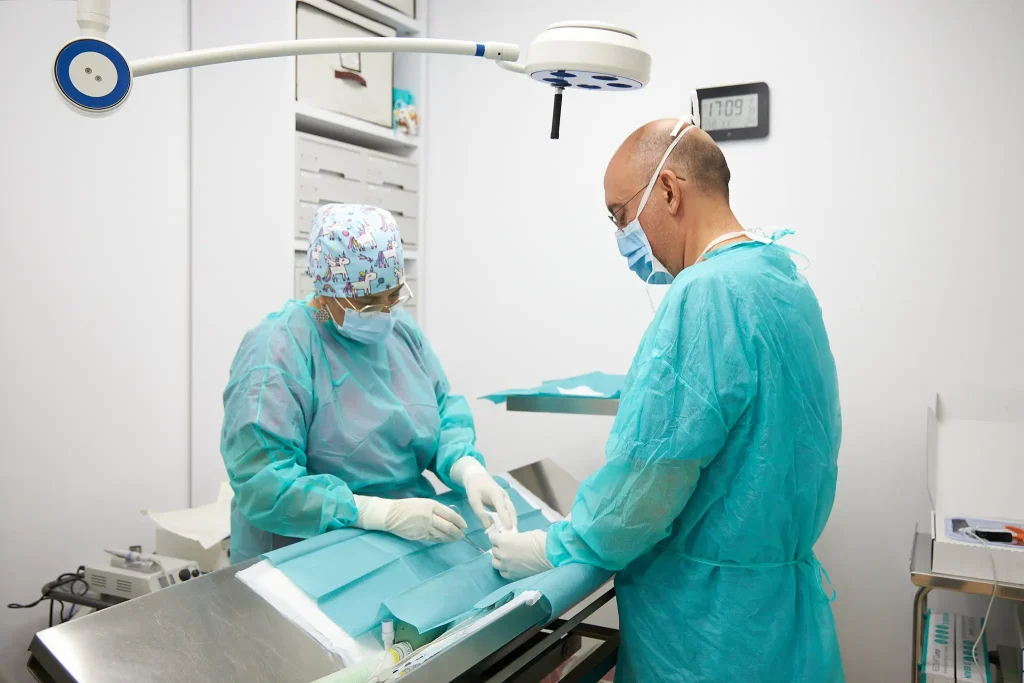 Cirurgia a Clínica Veterinaria Quatre Camins de Tortosa