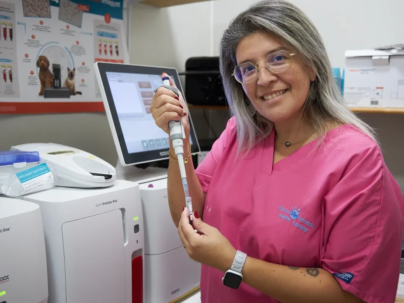 vet4camins-laboratori3 Laboratori a Clínica Veterinaria Quatre Camins de Tortosa